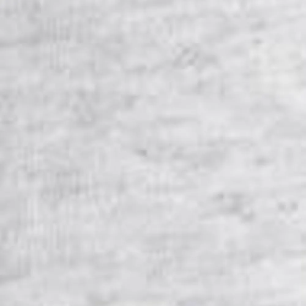 Mænd Carhartt WIP Standard T-Shirt Med Rund Hals (2 Pack) | Ask Lyng + Ask Lyng