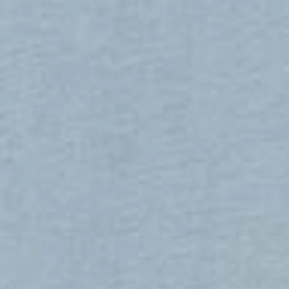 Mænd Carhartt WIP Surround T-Shirt | Frostet Bla