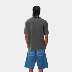 Mænd Carhartt WIP Taos T-Shirt | Flint