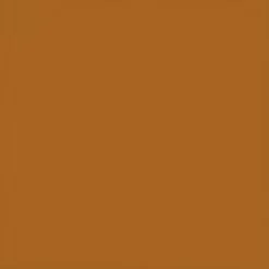 Mænd Carhartt WIP Vest (Forar) | Hamilton Brown